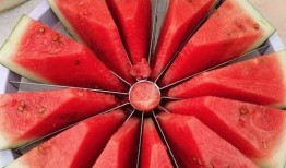 铁跑瓜可以吃吗,揭秘其食用价值与注意事项