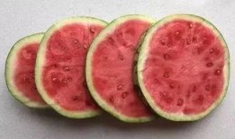 吃瓜小说全部的,揭秘娱乐圈背后的秘密与真相