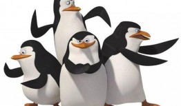 企鹅吃瓜搞笑图片,萌态可掬引网友爆笑