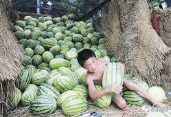 饿了吃瓜渴了还是瓜,美食满足——饿了吃瓜，渴了还是瓜