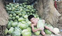 饿了吃瓜渴了还是瓜,美食满足——饿了吃瓜，渴了还是瓜