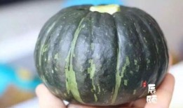 婴儿吃贝贝瓜好吗,婴儿食用贝贝瓜的适宜性与营养益处