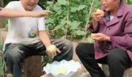 母亲儿子吃瓜,吃瓜趣事记