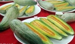 酥瓜可以炒吃吗,家常美味轻松上桌