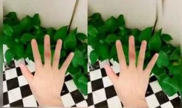 楠瓜吃瓜,揭秘娱乐圈幕后故事