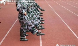 军训舞蹈吃瓜下载,青春记忆中的独特旋律