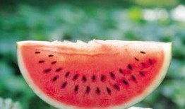 吃瓜搜索是啥,网络热议背后的秘密