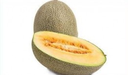 顺产可以吃哈密瓜,哈密瓜助力产后营养恢复
