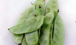 7月吃瓜视频,盘点热门吃瓜视频大盘点