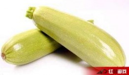 孕妇可用吃白瓜,白瓜助力健康孕育