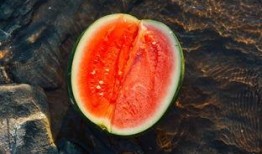 朱雀吃瓜,揭秘神秘生物的趣味生活