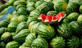 最会吃瓜的网红,网红吃瓜达人带你领略娱乐圈幕后风云