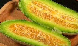 吃洋瓜和蜜瓜哪个好吃