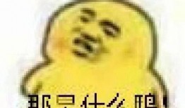 带你吃瓜吃不停表情包,带你领略“带你吃瓜吃不停”表情包的魅力