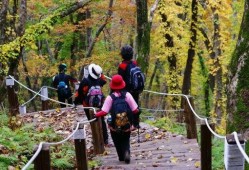 爬山吃秋瓜,品味秋瓜的甘甜时光