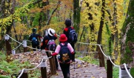 爬山吃秋瓜,品味秋瓜的甘甜时光