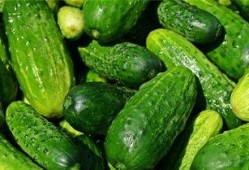 梦见走路吃瓜孑,行走间品味瓜果香