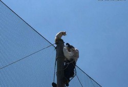 铁柱吃瓜,揭秘娱乐圈背后的那些事儿