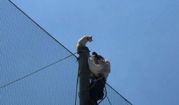 铁柱吃瓜,揭秘娱乐圈背后的那些事儿