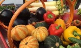 没事别瞎吃瓜,远离无谓纷扰——拒绝盲目跟风，守护内心宁静