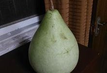 吃红瓜中毒吗,了解其潜在风险与预防措施