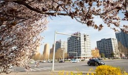 安阳学院最新吃瓜,揭秘校园风云背后的真相