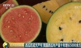 世界最强吃瓜群众,揭秘世界最强“吃瓜群众”的幕后故事