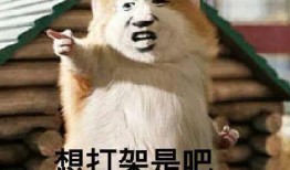 吃瓜大冒险38,揭秘娱乐圈背后的惊人真相