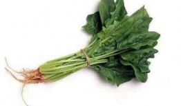 春天种什么藤瓜合适吃,最适合春季食用的藤瓜品种推荐