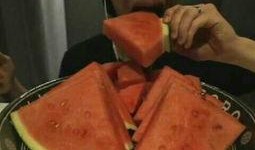 瓜哥吃瓜讲故事视频播放,揭秘热门视频背后的故事