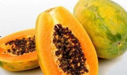 梦到孕妇摘瓜吃瓜,孕妇摘瓜食瓜的神秘寓意解析