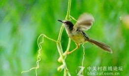 吃瓜小莺,揭秘娱乐圈那些不为人知的幕后故事