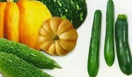 夏天吃瓜解渴,瓜果飘香——解渴美食之旅