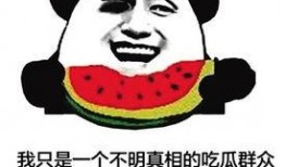 大早上吃瓜群众,吃瓜群众热议时事风云