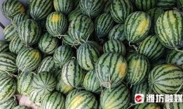 _hh0neyy_吃瓜,揭秘_hh0neyy_吃瓜背后的故事与真相