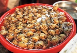 吃瓜的沙蚕,揭秘吃瓜沙蚕的神秘生活