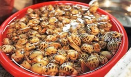 吃瓜的沙蚕,揭秘吃瓜沙蚕的神秘生活