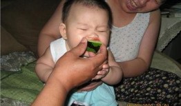 家琪吃的瓜,探寻夏日美味瓜果的奥秘