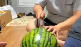 柯淳现场吃瓜,揭秘娱乐圈幕后真相