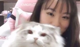 吃瓜的木子直播,吃瓜群众的欢乐盛宴