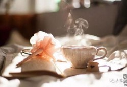 吃瓜少言寡语的瓜,少言寡语的吃瓜群众揭秘