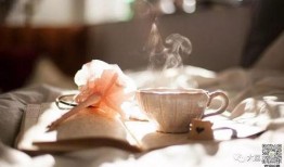 吃瓜少言寡语的瓜,少言寡语的吃瓜群众揭秘