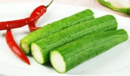 减肥营吃瓜,减肥营里的美味瓜果之旅