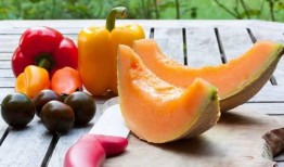 给羊吃哈密瓜,甜蜜牧场的绿色盛宴