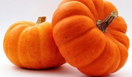 小橙子吃大瓜了,大瓜滋味令人惊喜