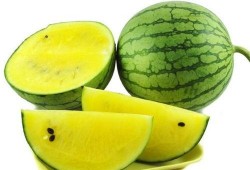 华为吃瓜宣传图片,揭秘科技巨头背后的轻松一刻