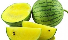 华为吃瓜宣传图片,揭秘科技巨头背后的轻松一刻