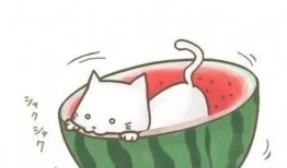 qq头像吃瓜群众,揭秘网络社交的趣味与争议