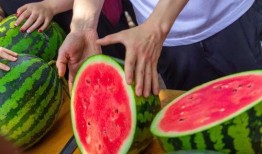 普洱学院事件吃瓜,揭秘校园风波背后的真相与反思