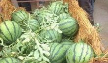 保山电信公司吃瓜,吃瓜群众眼中的幕后故事